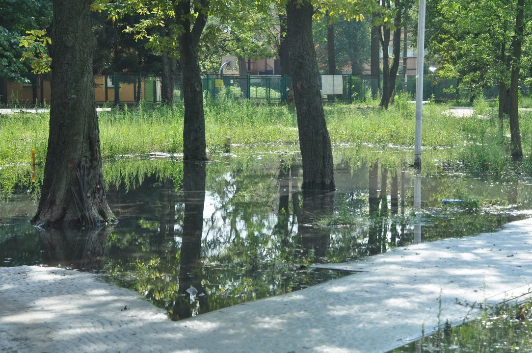 Podtopiona Kolbuszowa - sierpień 2012. 