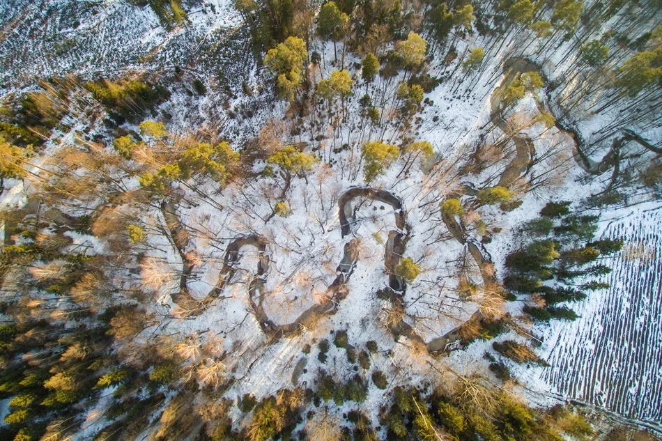 Nowy rezerwat przyrody na Podkarpaciu? Chcą, aby powstał w powiecie kolbuszowskim - Zdjęcie główne