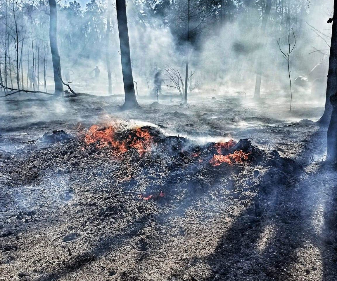 Podkarpacki las znowu płonie! [FOTO] - Zdjęcie główne