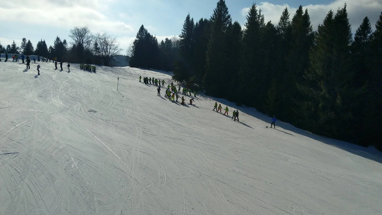 Otwarte Mistrzostwa Kolbuszowej w Slalomie Gigancie