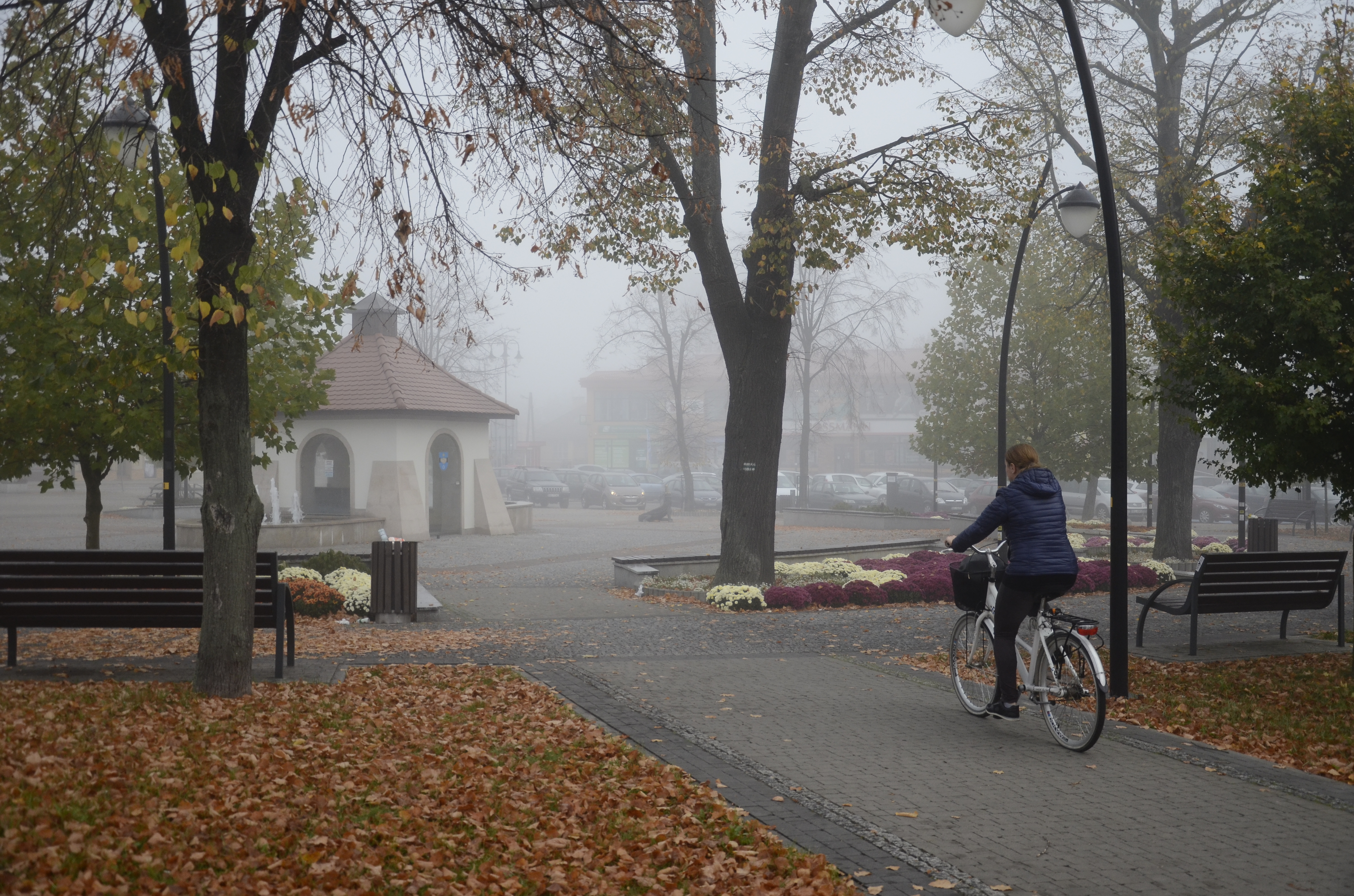 Kolbuszowa we mgle |ZDJĘCIA| - Zdjęcie główne