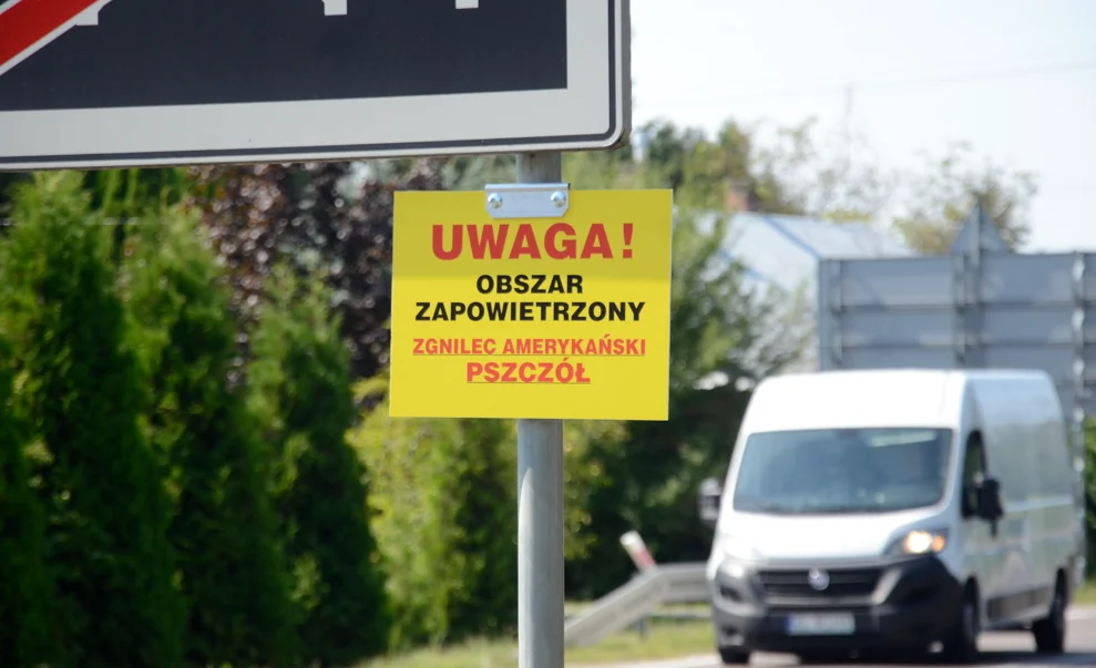 Zgnilec amerykański sieje spustoszenie w powiecie kolbuszowskim. Spalane są kolejne ule i pszczoły - Zdjęcie główne