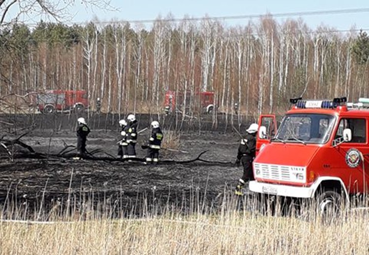 Pożary traw w całym powiecie kolbuszowskim [FOTO] - Zdjęcie główne
