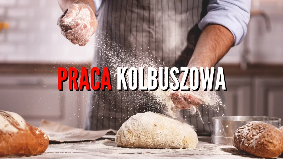 Praca Kolbuszowa i okolice. Tutaj zarobisz nawet 9000 zł miesięcznie! [NOWE OFERTY] - Zdjęcie główne