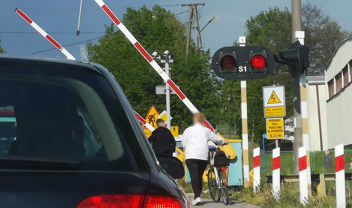 Mandaty nie tylko dla kierowców. Przejście na czerwonym świetle też może sporo kosztować - Zdjęcie główne