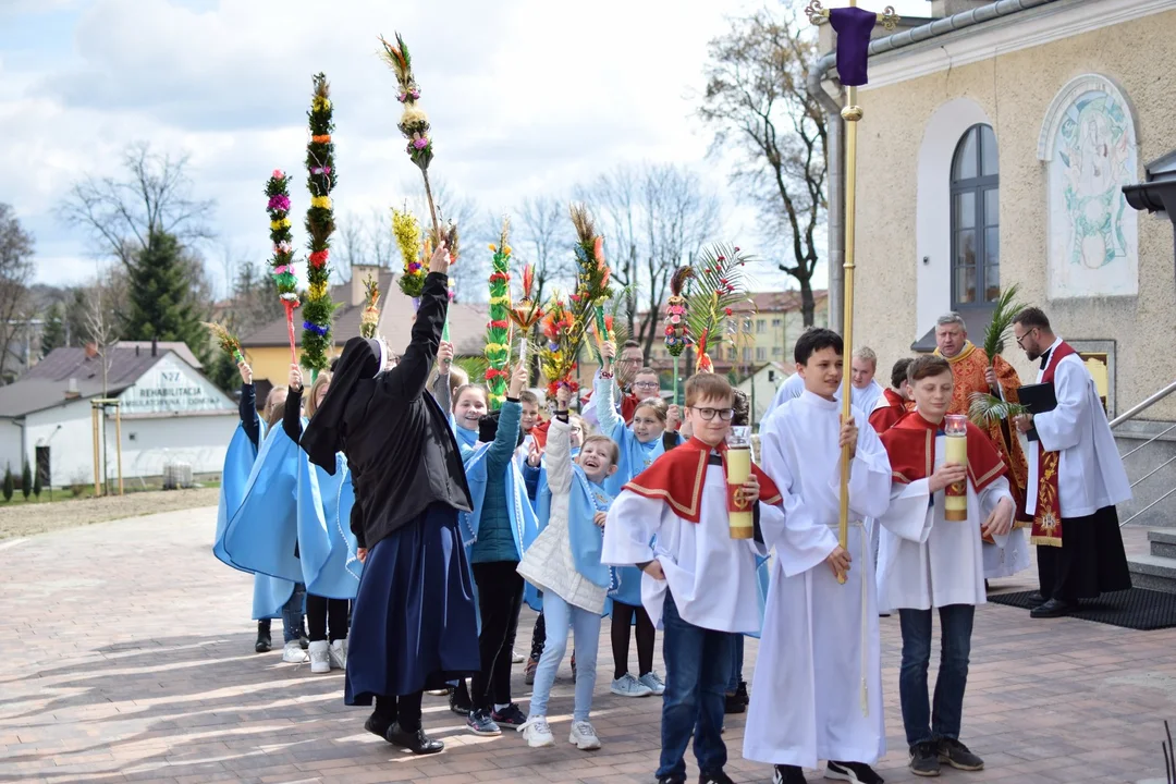 Niedziela Palmowa w kolbuszowskiej kolegiacie. Zobacz zdjęcia z procesji [ZDJĘCIA] - Zdjęcie główne