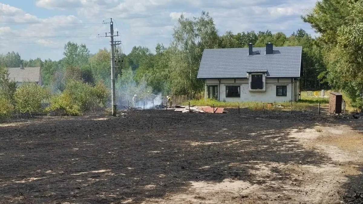 Płonął las i nieużytki w Jagodniku. Działania utrudniał silny wiatr. Pożar gasiło 40 strażaków - Zdjęcie główne