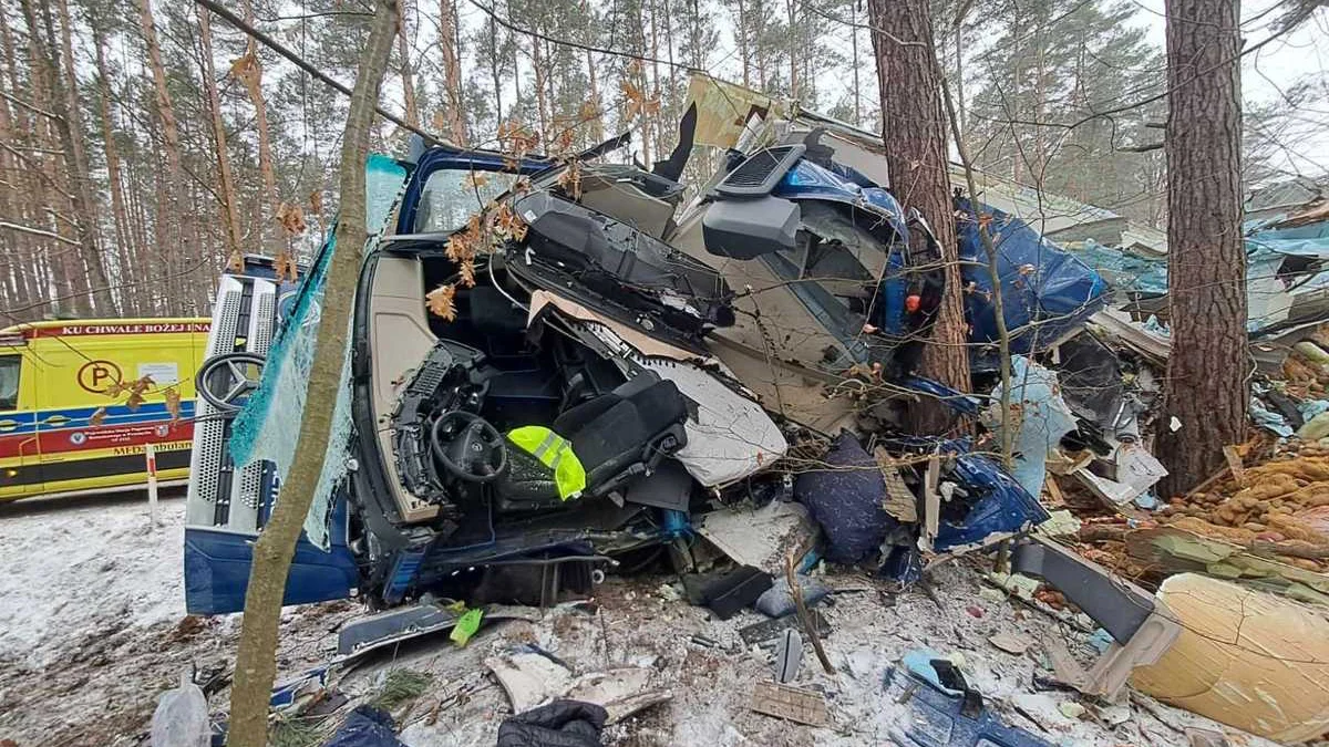 Tragiczny wypadek na Podkarpaciu. Nie żyje kierowca ciężarówki  [ZDJĘCIA] - Zdjęcie główne