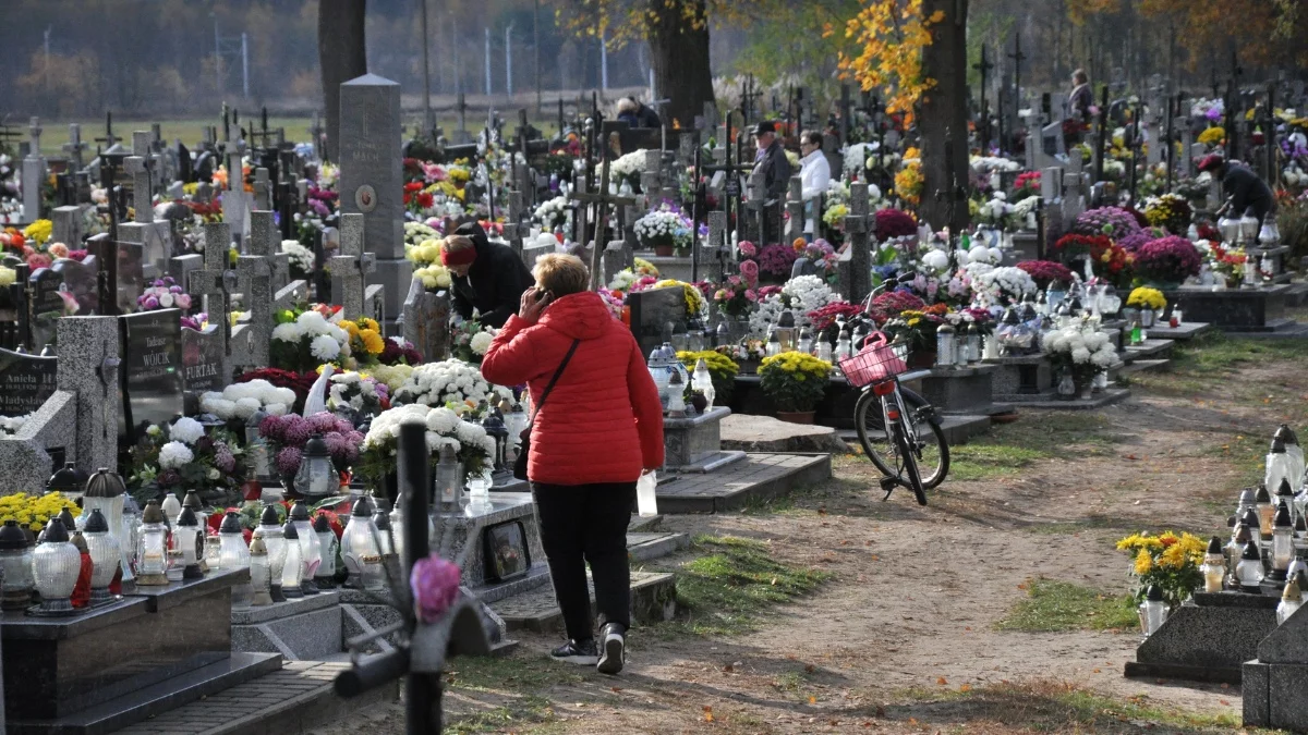 Wszystkich Świętych 2024. Śmieci z cmentarza zabierz ze sobą. Jest apel księży - Zdjęcie główne