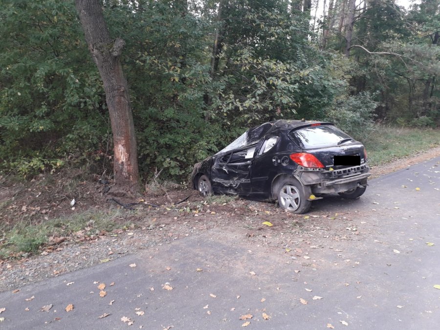 Z PODKARPACIA. Mężczyzna zjechał z drogi i uderzył w przydrożne drzewo - Zdjęcie główne