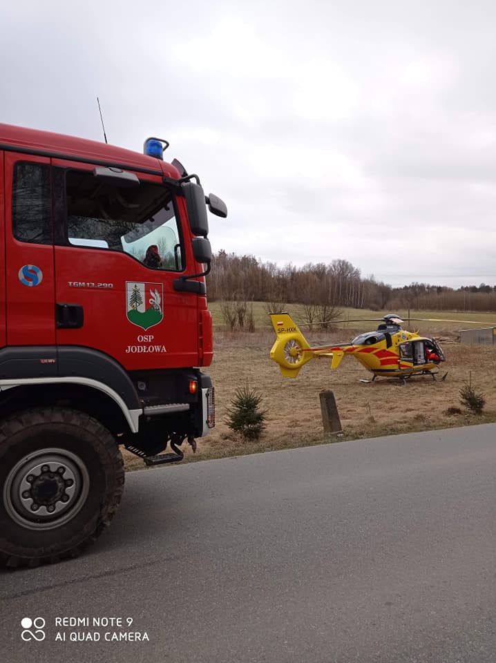 Podkarpacie: 44-latek zginął przy pracach w lesie - Zdjęcie główne