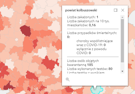 Zakażenia koronawirusem na Podkarpaciu [sobota - 8 maja] - Zdjęcie główne