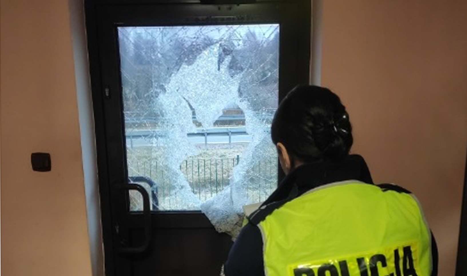 Z PODKARPACIA. Siekierą roztrzaskał drzwi posterunku policji [FOTO] - Zdjęcie główne