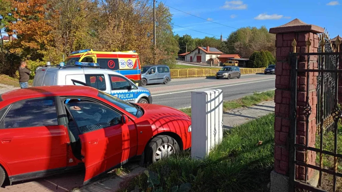 Sprawa potrącenia pieszej na pasach w Widełce trafiła do sądu. Byliśmy na rozprawie - Zdjęcie główne