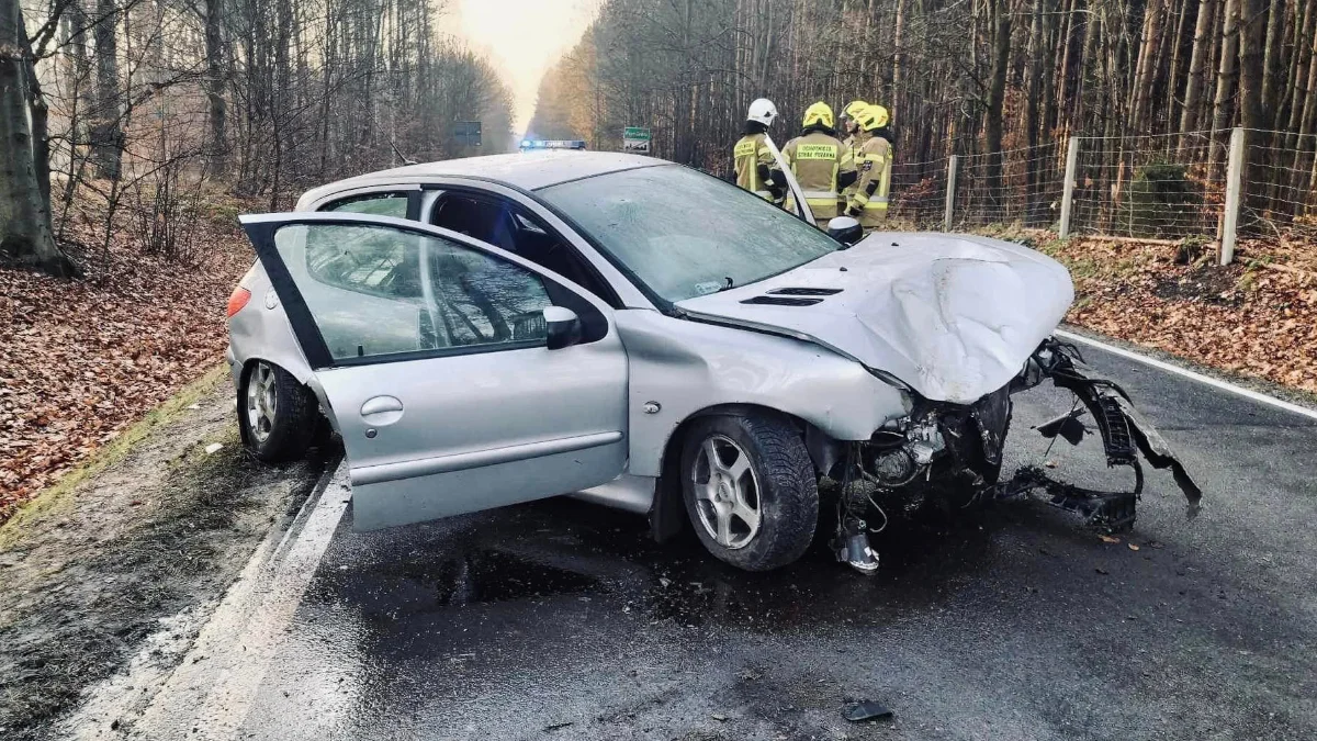 Wypadek nieopodal Kolbuszowej. Auto uderzyło w drzewo. Dwie osoby ranne [ZDJĘCIA] - Zdjęcie główne