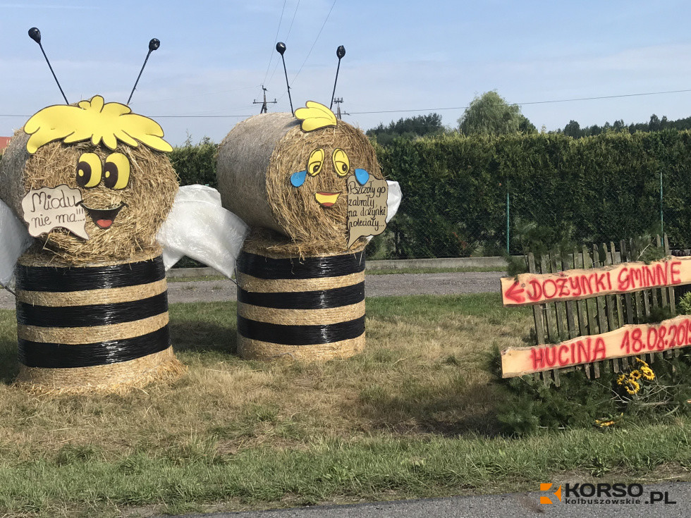 Święto plonów w gminie Majdan Królewski. To już jutro! - Zdjęcie główne