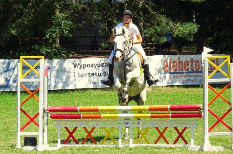 Mustang zaprasza - Zdjęcie główne