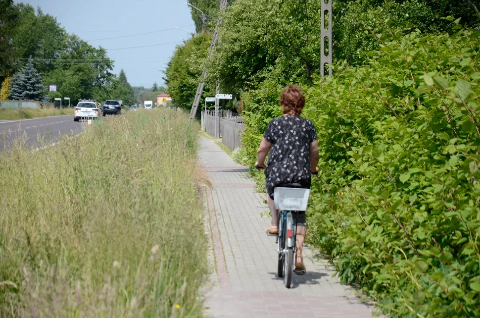 Mieszkańcy powiatu kolbuszowskiego niezadowoleni z zaniedbanych rowów i poboczy porośniętych wysoką trawą - Zdjęcie główne