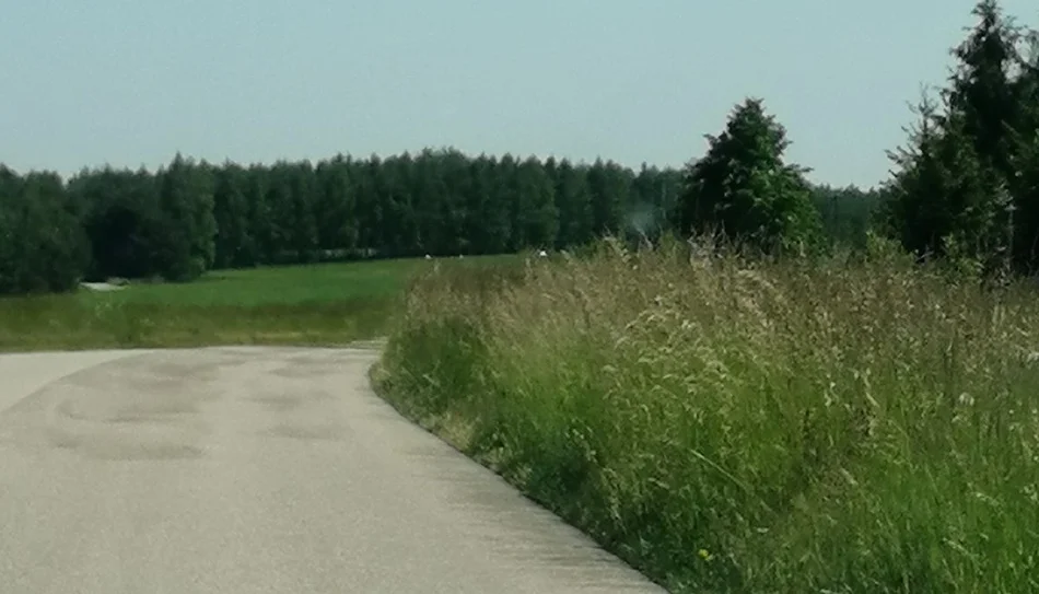 Koszenie rowów i poboczy w powiecie kolbuszowskim. Ile będzie kosztowało?  - Zdjęcie główne