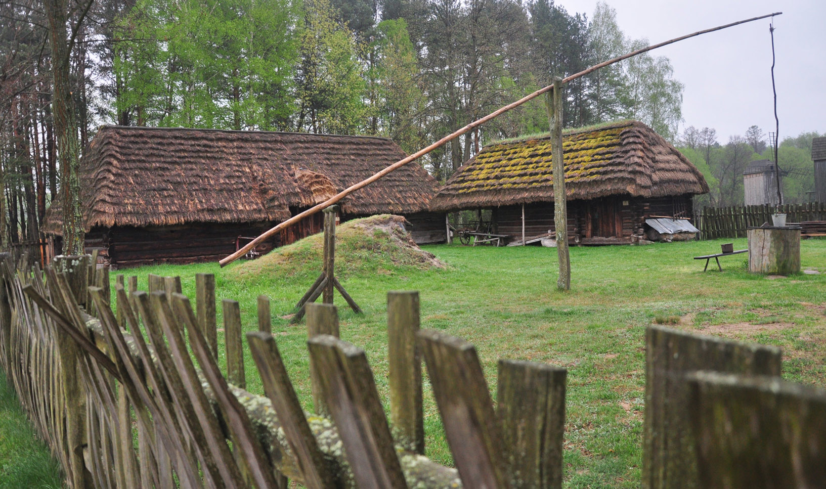 Skansen w Kolbuszowej 