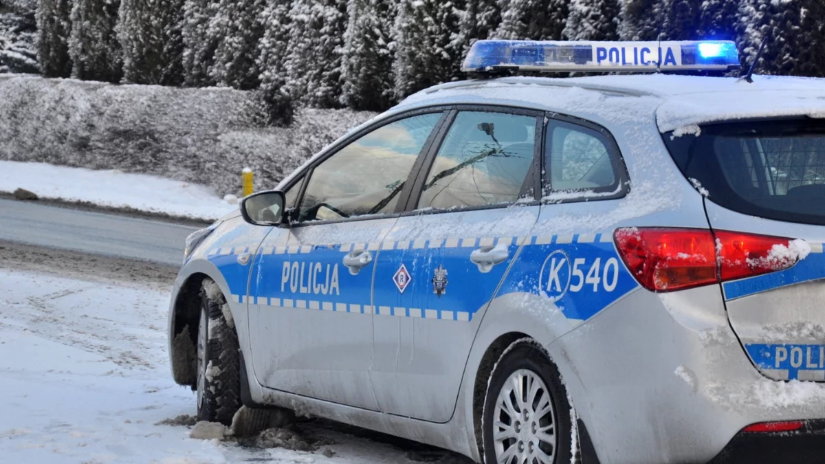 Pijanego i zziębniętego uratowali przed śmiercią. Policjanci interweniowali w Brzostowej Górze - Zdjęcie główne