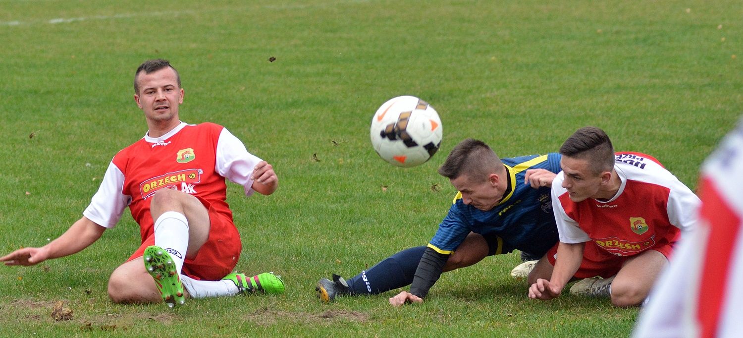 Huragan Przedbórz - Gród Będziemyśl 6:0 [ZDJĘCIA] - Zdjęcie główne