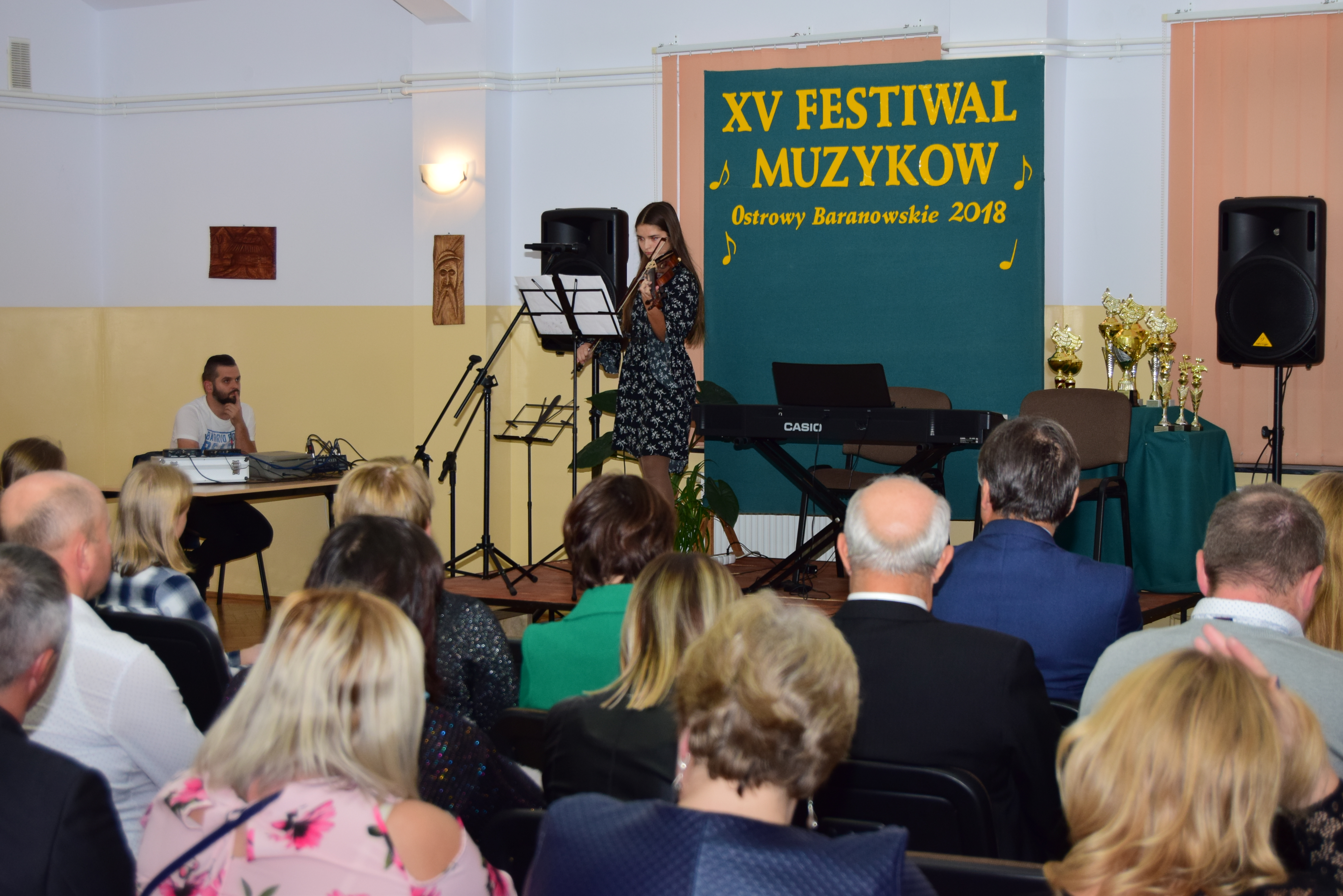 Festiwal Muzyków w Ostrowach Baranowskich 2018 odbył się już po raz piętnasty [FILM] - Zdjęcie główne