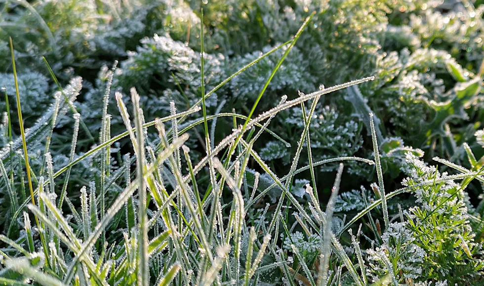 Pogoda Kolbuszowa. Jest ostrzeżenie przed przymrozkami. Kiedy temperatura spadnie poniżej zera? - Zdjęcie główne