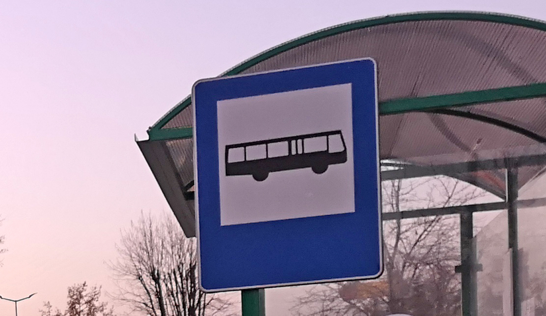 Gmina Cmolas uruchamia dwie nowe linie autobusowe [ROZKŁAD JAZDY] - Zdjęcie główne