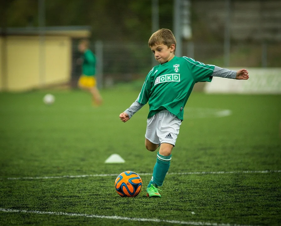 Zastrzyk gotówki dla klubów sportowych z gminy Niwiska. Ile dostali? - Zdjęcie główne