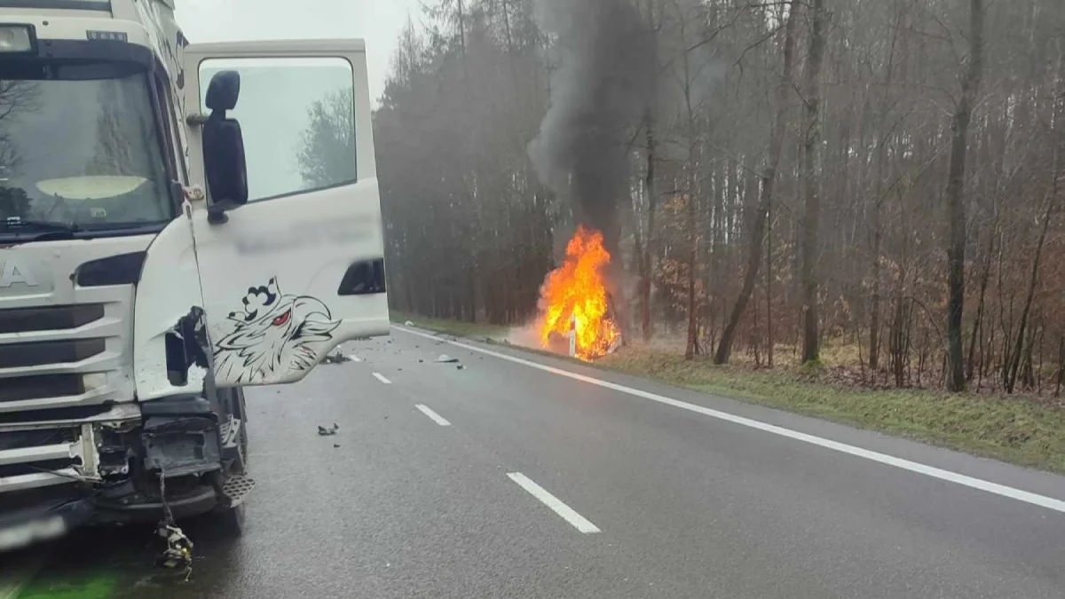 Śmiertelny wypadek na drodze krajowej nr 9 między Nową Dębą a Tarnobrzegiem. Samochód stanął w płomieniach [MAPA] - Zdjęcie główne