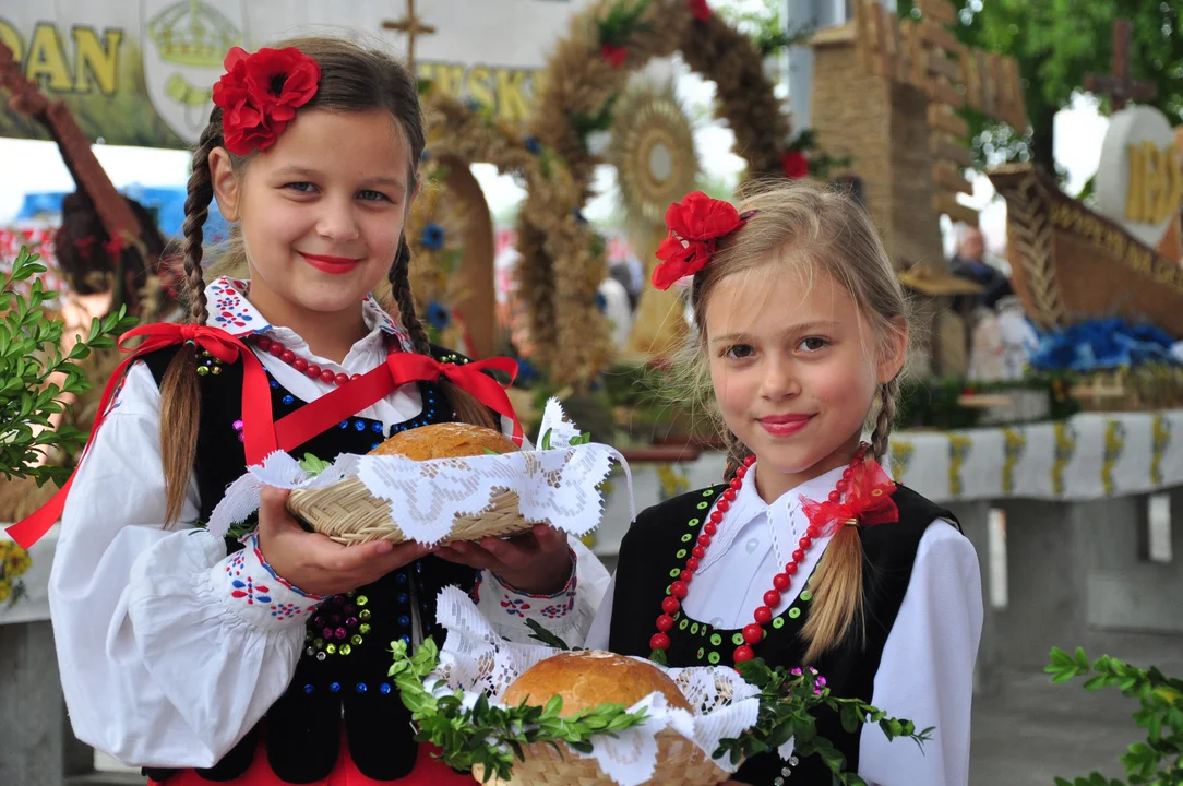 Dożynki w Majdanie Królewskim 2023. W niedzielę gminne święto plonów [PROGRAM] - Zdjęcie główne