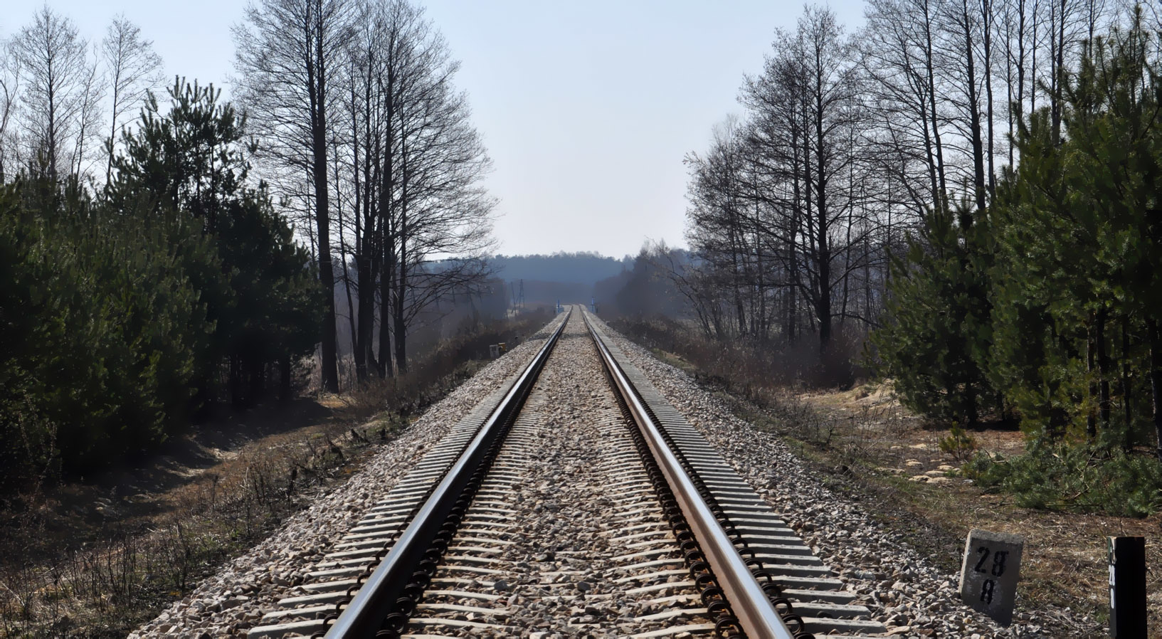 Będzie komunikacja zastępcza na odcinku Kolbuszowa - Tarnobrzeg  - Zdjęcie główne