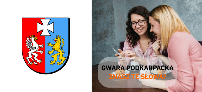 GWARA PODKARPACKA. Znasz te słowa? Używasz ich? TOP 10 - Zdjęcie główne