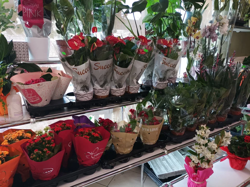 W kwiaciarniach w Kolbuszowej 
