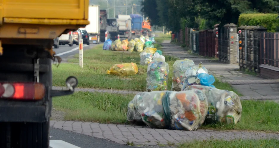 W której gminie mieszkańcy najmniej płacą za śmieci? Gdzie najwięcej? Sprawdź nasz raport - Zdjęcie główne