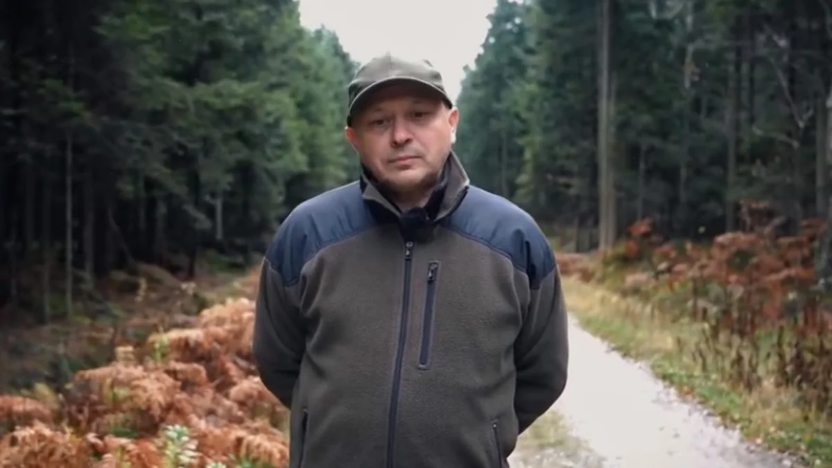 Pracownicy Nadleśnictwa Kolbuszowa mówią o problemie kradzieży drzew z lasu i nie tylko [WIDEO] - Zdjęcie główne