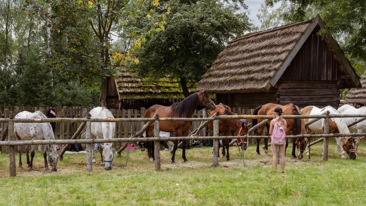 Rodzinne spotkania ze zwierzętami w skansenie. „Idzie Grześ przez wieś…” w Muzeum Kultury Ludowej w Kolbuszowej [HARMONOGRAM] - Zdjęcie główne