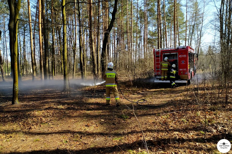 23 pożary traw w przeciągu kilku dni. Nieużytki płonęły w całym powiecie  - Zdjęcie główne