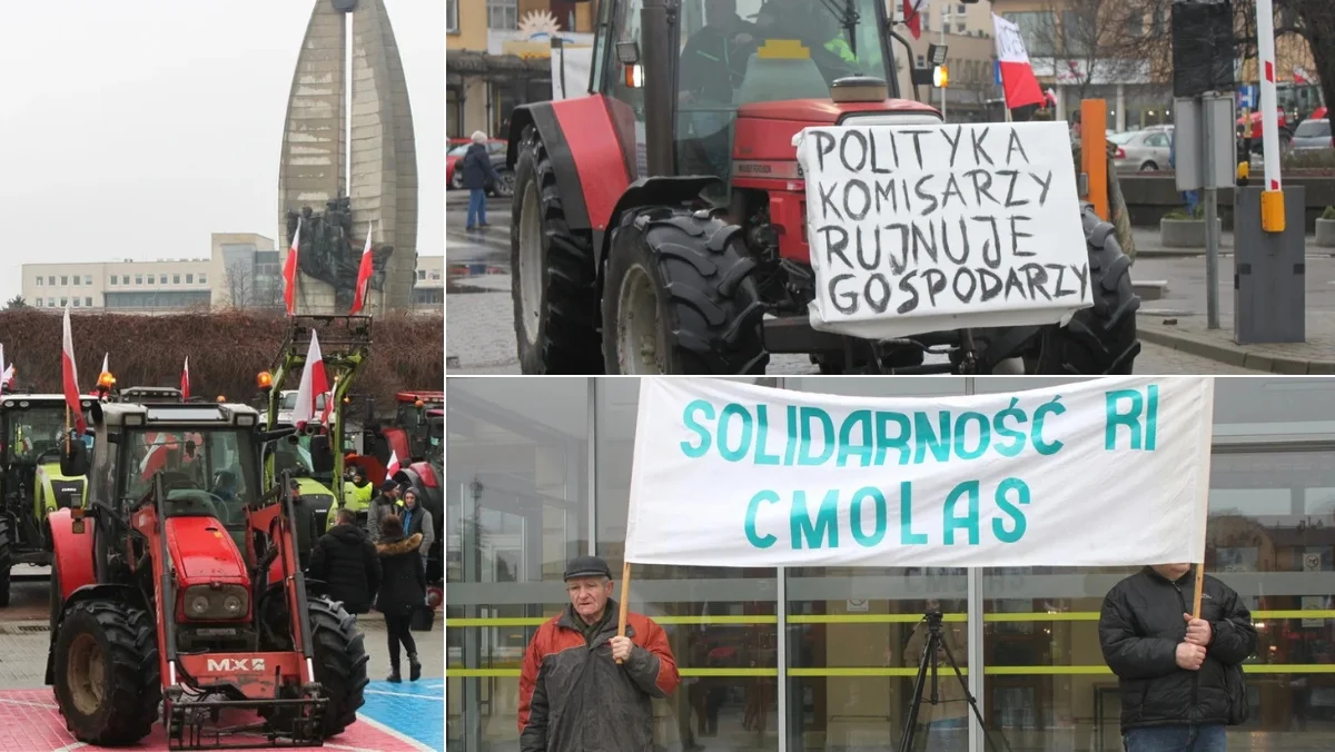 Wywożenie obornika i ścielenie krowom pod lupą Unii. Rolnik z Cmolasu krytycznie o Zielonym Ładzie: Niedługo będę pracował więcej w biurze niż na gospodarstwie - Zdjęcie główne