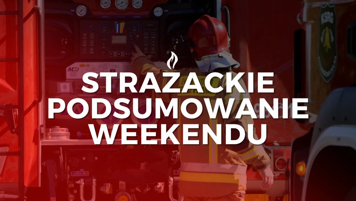 Pożar pieca gazowego w Kolbuszowej i powalone drzewa. Strażacy podsumowali weekend - Zdjęcie główne