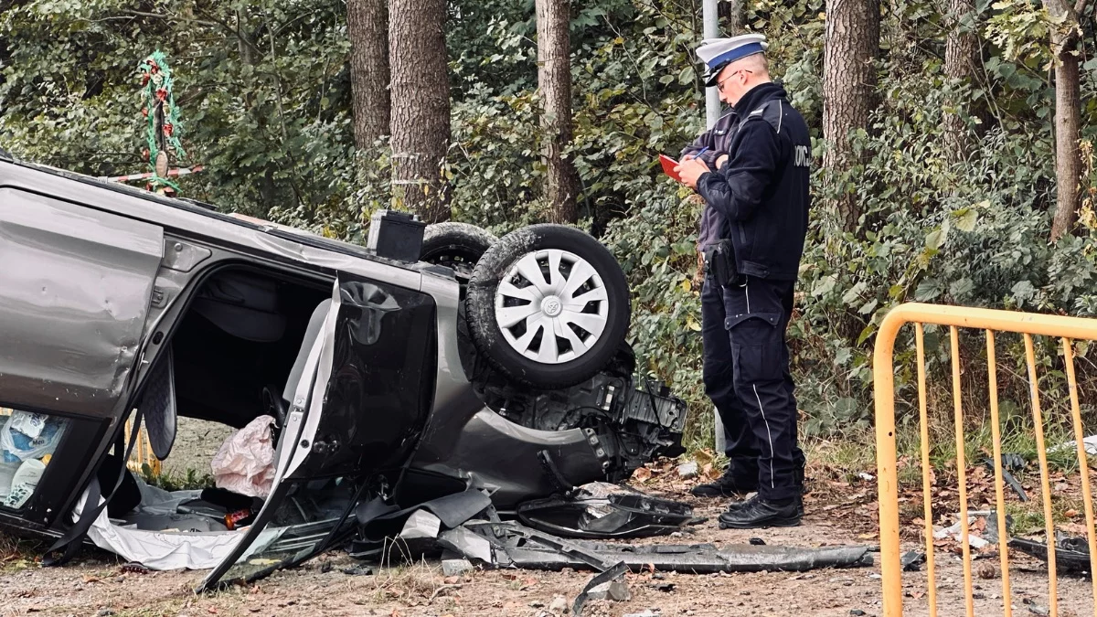 Policja o wypadku na krajowej "dziewiątce" w Widełce. Co z kobietą i dzieckiem? - Zdjęcie główne