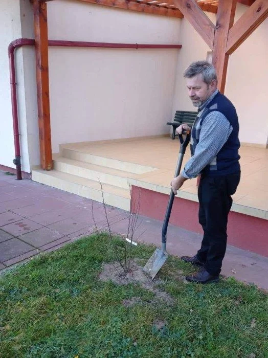 Miododajne drzewa zostały posadzone. 