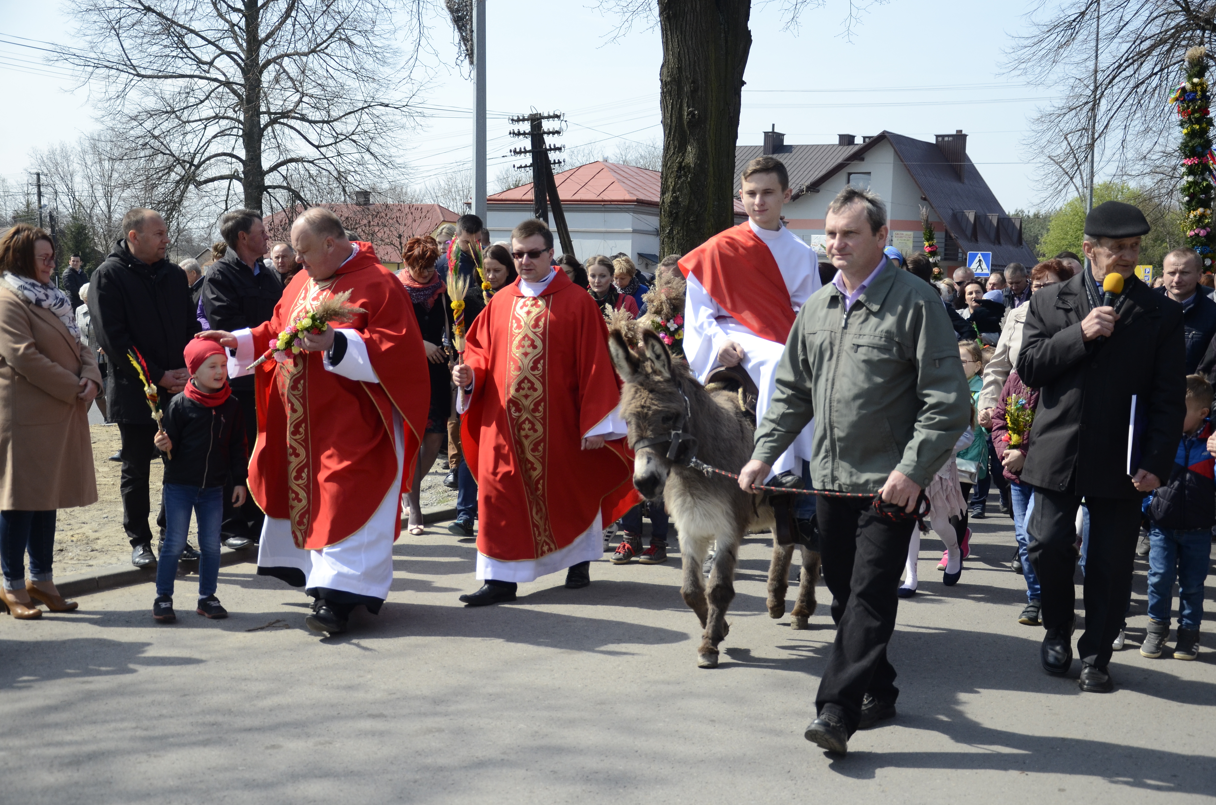 Niedziela palmowa w Raniżowie z prawdziwym osiołkiem  - Zdjęcie główne