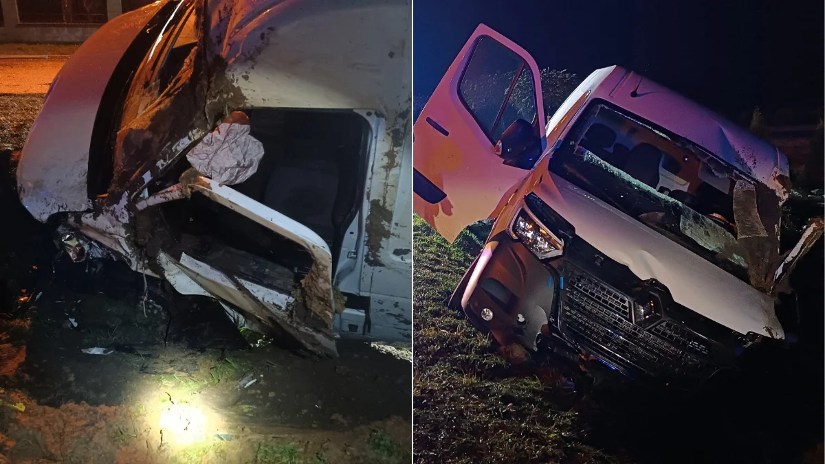 Wypadek w Krzywej w powiecie ropczycko-sędziszowskim. Auto dostawcze wylądowało w rowie. Kierowca miał prawie 3 promile alkoholu! - Zdjęcie główne