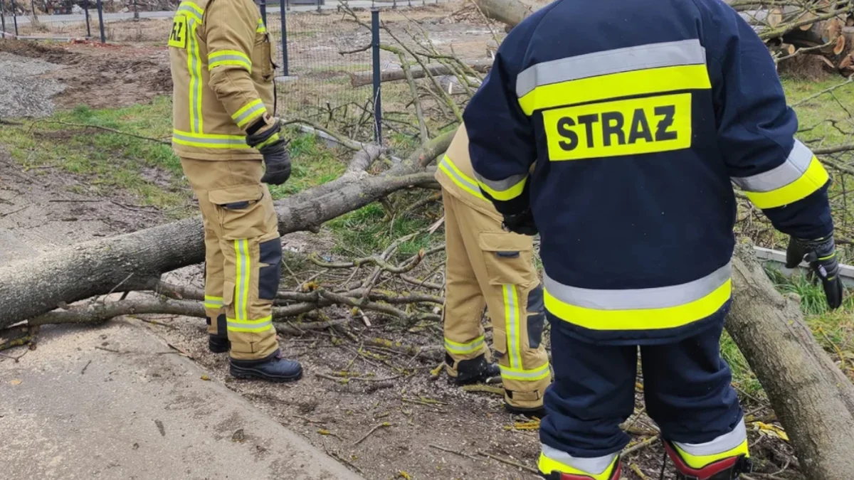 Niespokojnie i wietrznie na Podkarpaciu? Kilkadziesiąt interwencji Straży Pożarnej i jedna osoba ranna - Zdjęcie główne