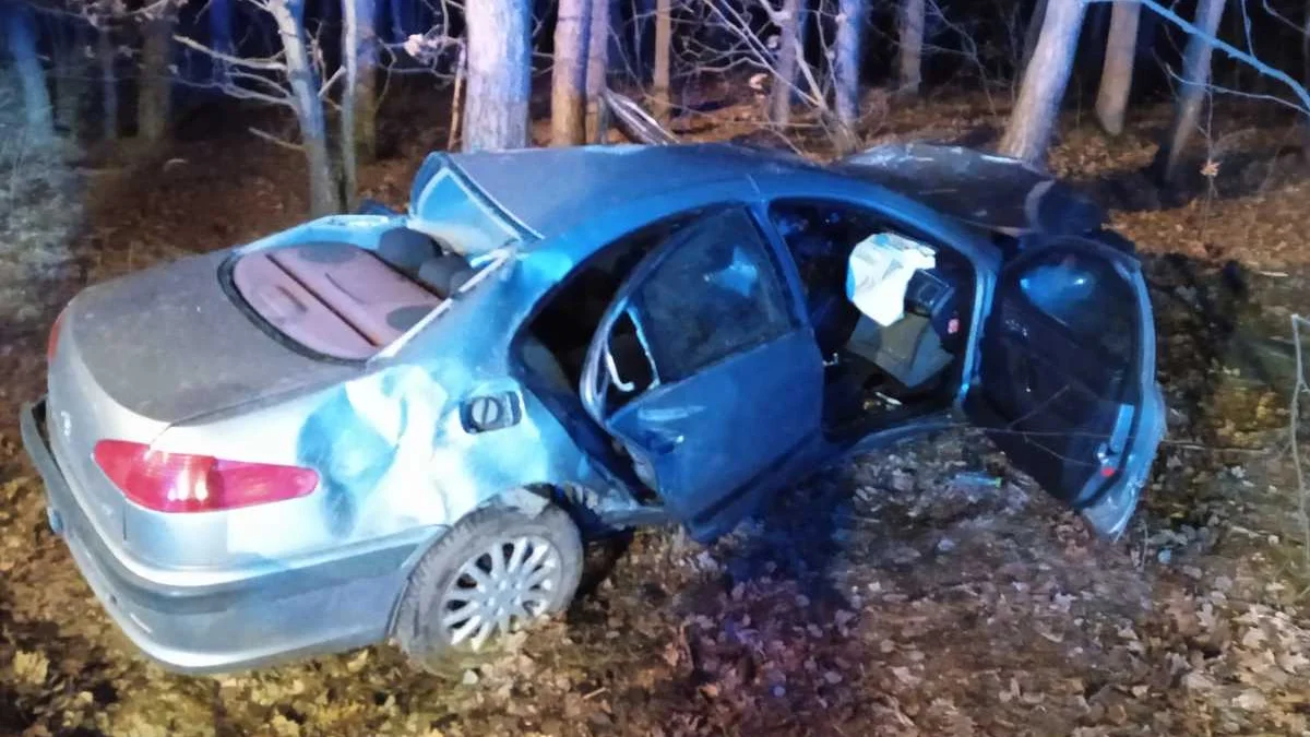 Śmiertelny wypadek na trasie Cmolas - Jagodnik. Samochód uderzył w drzewo. Nie żyje młody mężczyzna - Zdjęcie główne