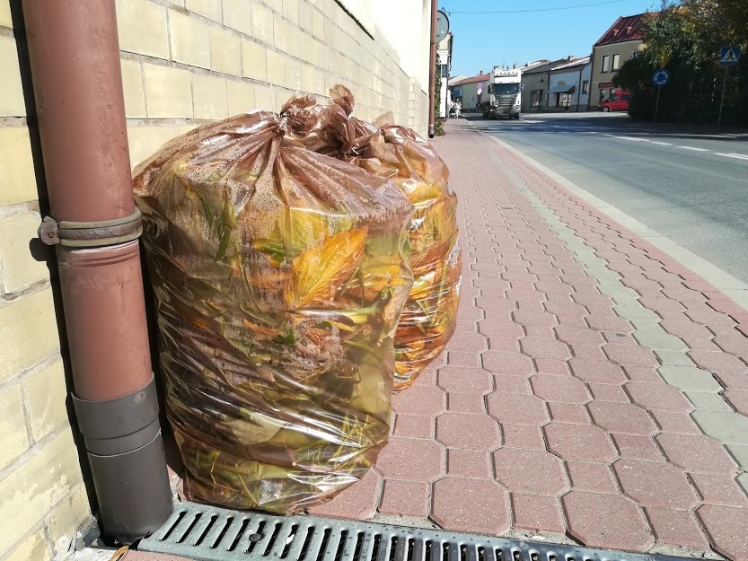 GMINA KOLBUSZOWA. Odbierz pakiet worków na śmieci i kody kreskowe  - Zdjęcie główne