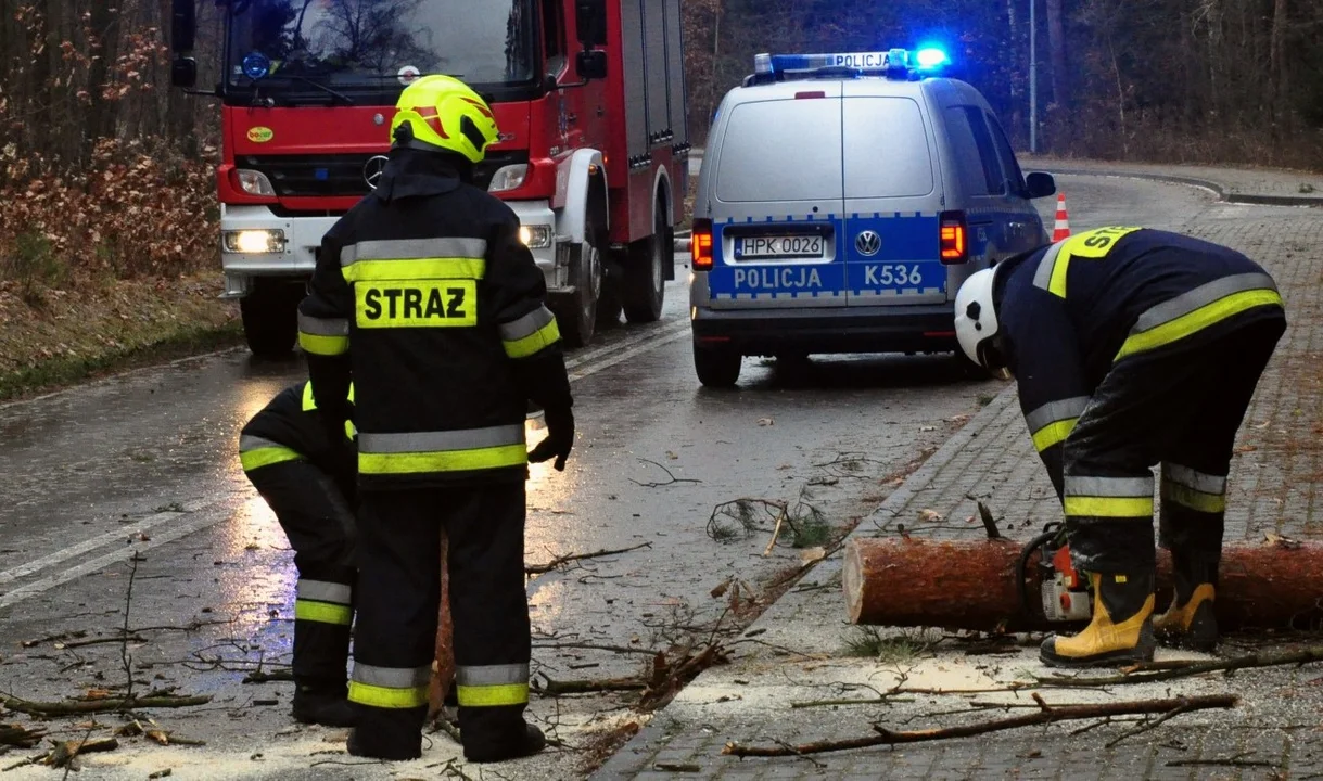 Zalana droga, powalone drzewa. Interwencje kolbuszowskich strażaków po burzach - Zdjęcie główne