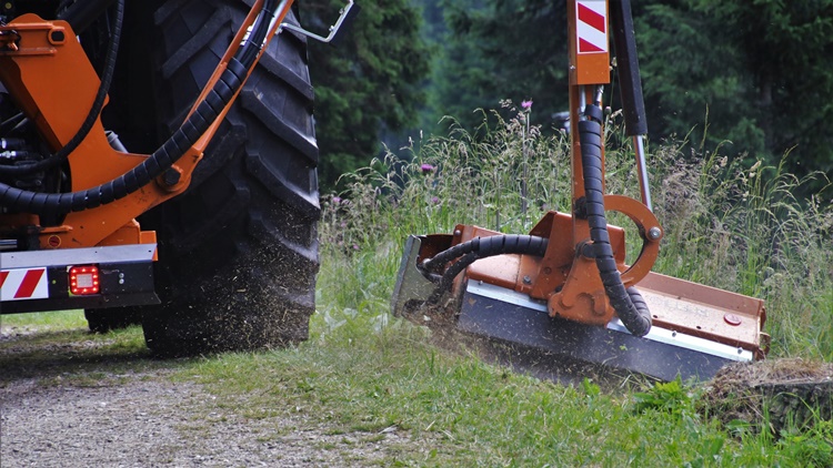 Zarośnięte rowy i pobocza. Kiedy koszenie w powiecie?  - Zdjęcie główne